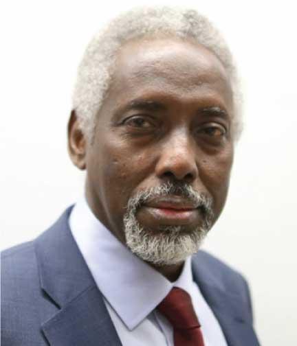 Professor Mohamed A. Eno